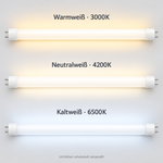 Schematischer Vergleich der LED Röhren in Warmweiß 3000K, Neutralweiß 4200K und Kaltweiß 6500K