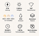 Zeno Wandleuchte 13W – 1300 Lumen, IP54 und technische Eigenschaften